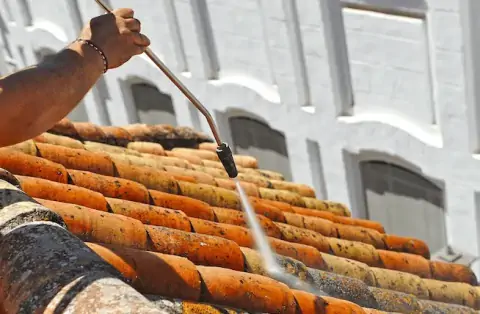 Nettoyage de toitures - Pavie